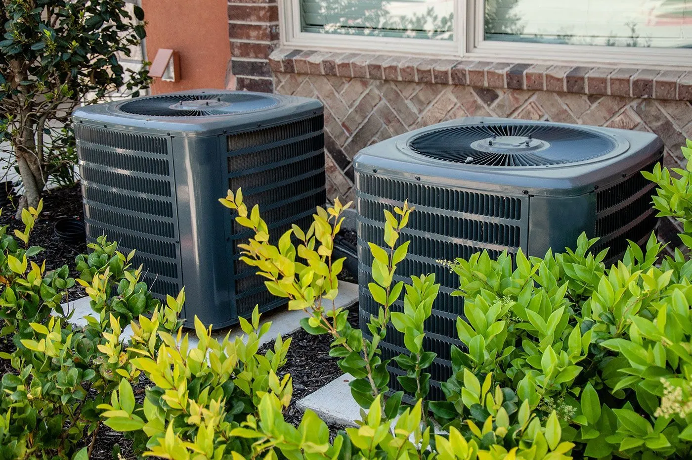 Two black air conditioning units surrounded by green bushes against a brick wall and a window.